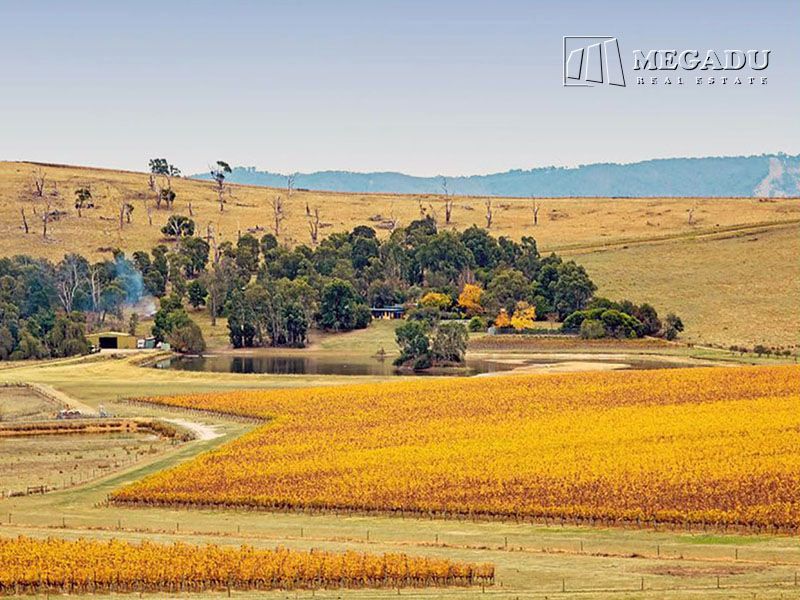 76 Boundary Road, Gruyere VIC 3770, Image 0