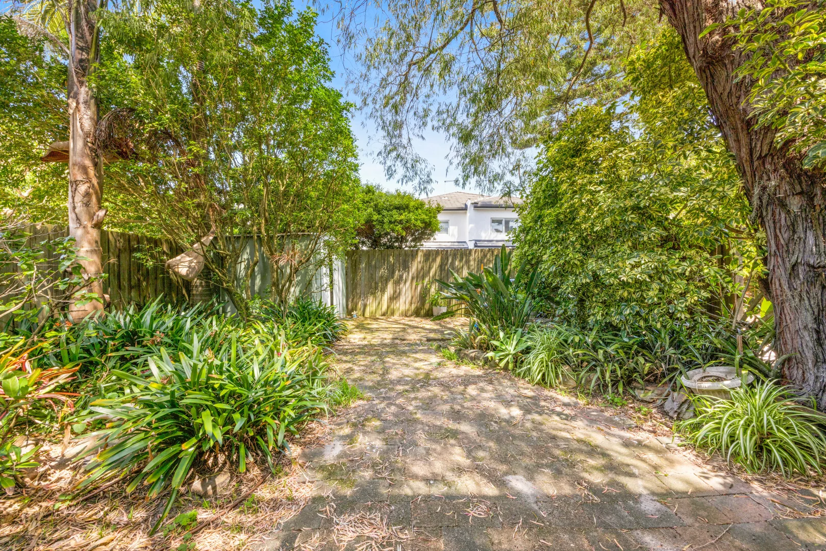 Additional image 4 of 56 George Street, Dover Heights NSW 2030