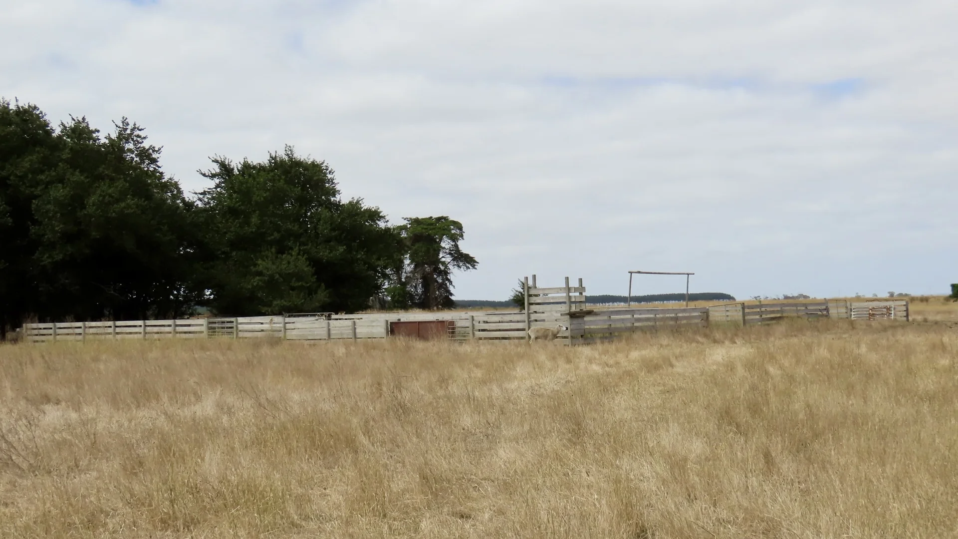 Image 12
