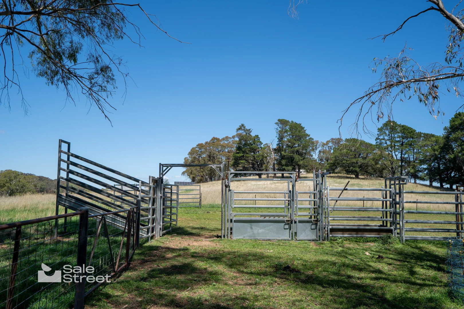 Additional image 8 of 167 Carbine Road, Forest Reefs NSW 2798