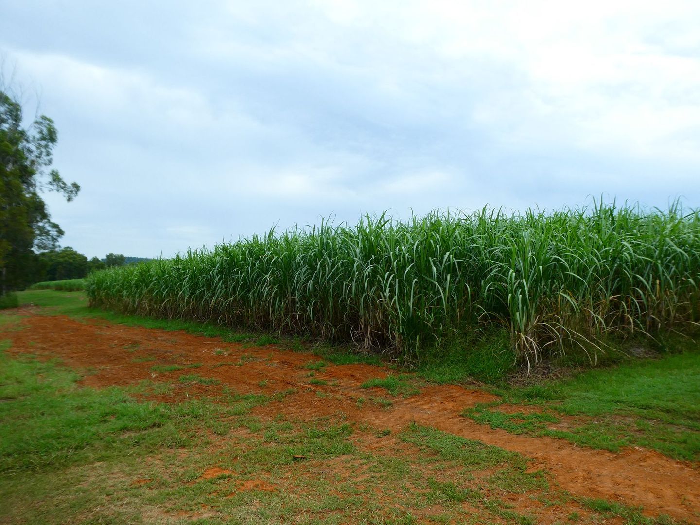 NRN Schmidts Road, North Isis QLD 4660, Image 2