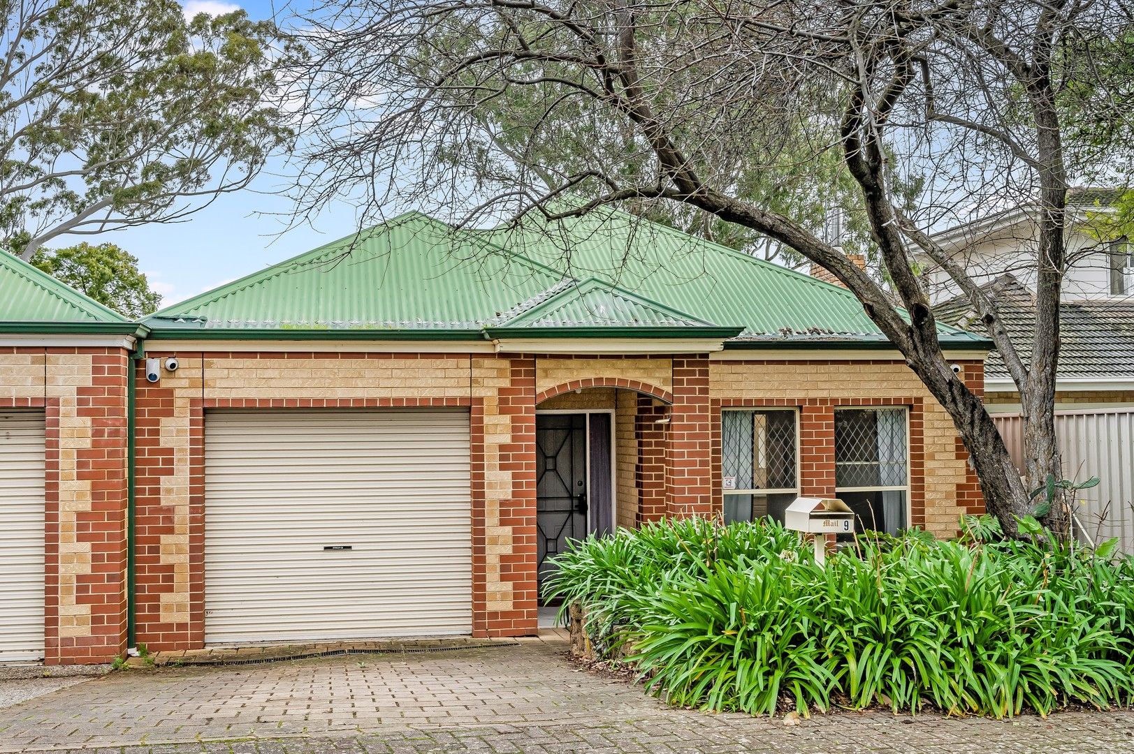 9 Burnell Street, Linden Park SA 5065 Domain