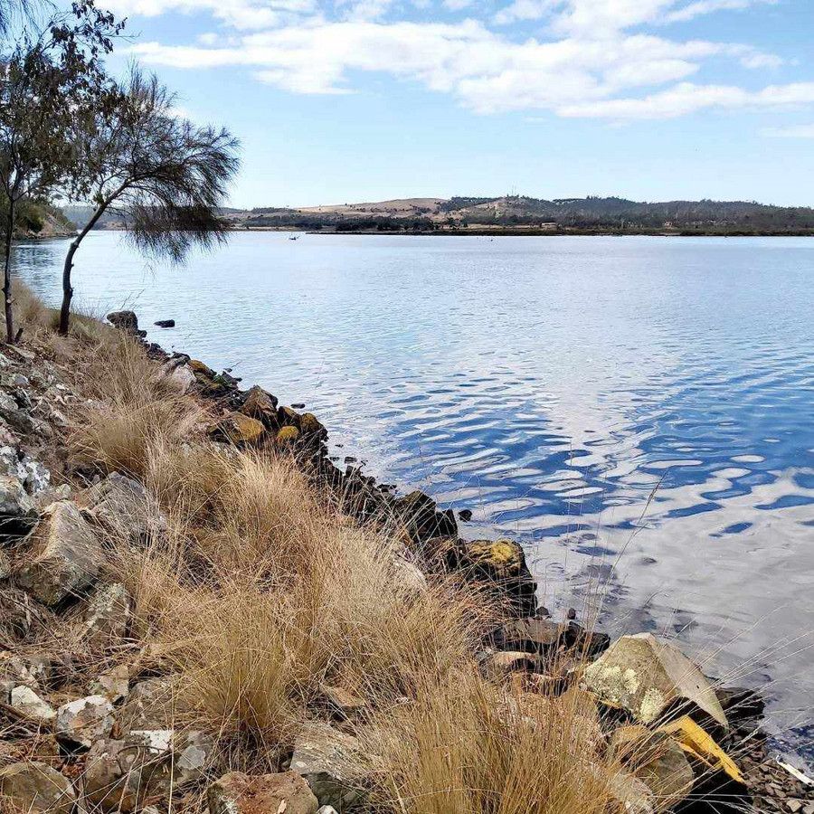 10562 Tasman Highway, Little Swanport TAS 7190, Image 0