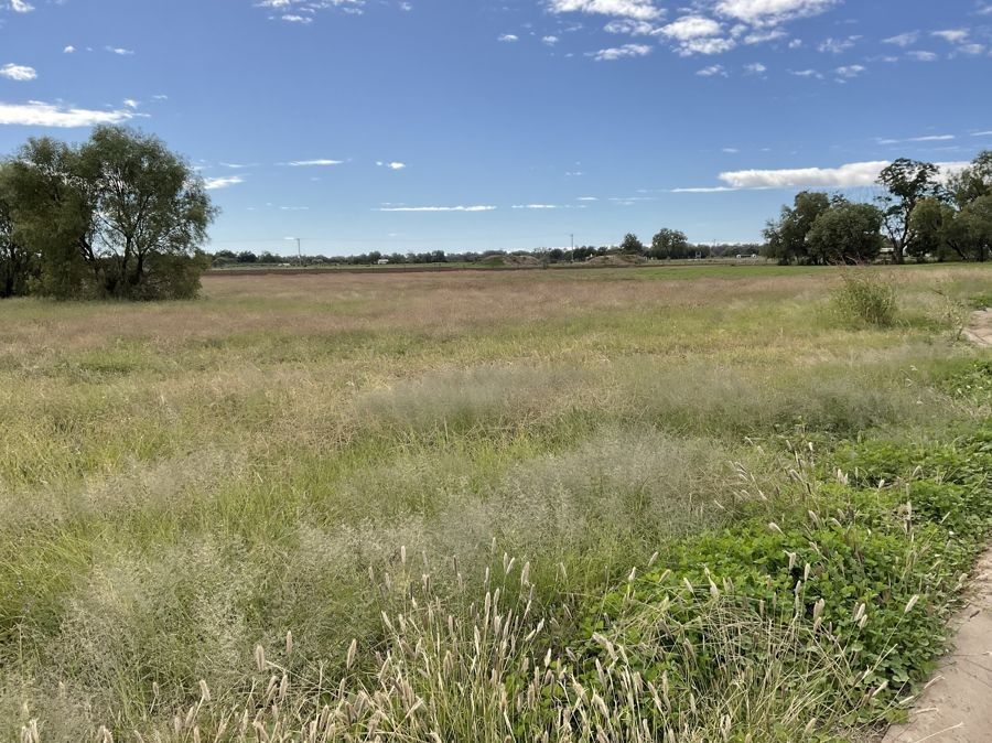 Lot 25 Hoopers Drive, Coonamble NSW 2829, Image 1