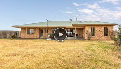 Picture of 798 West Kameruka Road, CANDELO NSW 2550