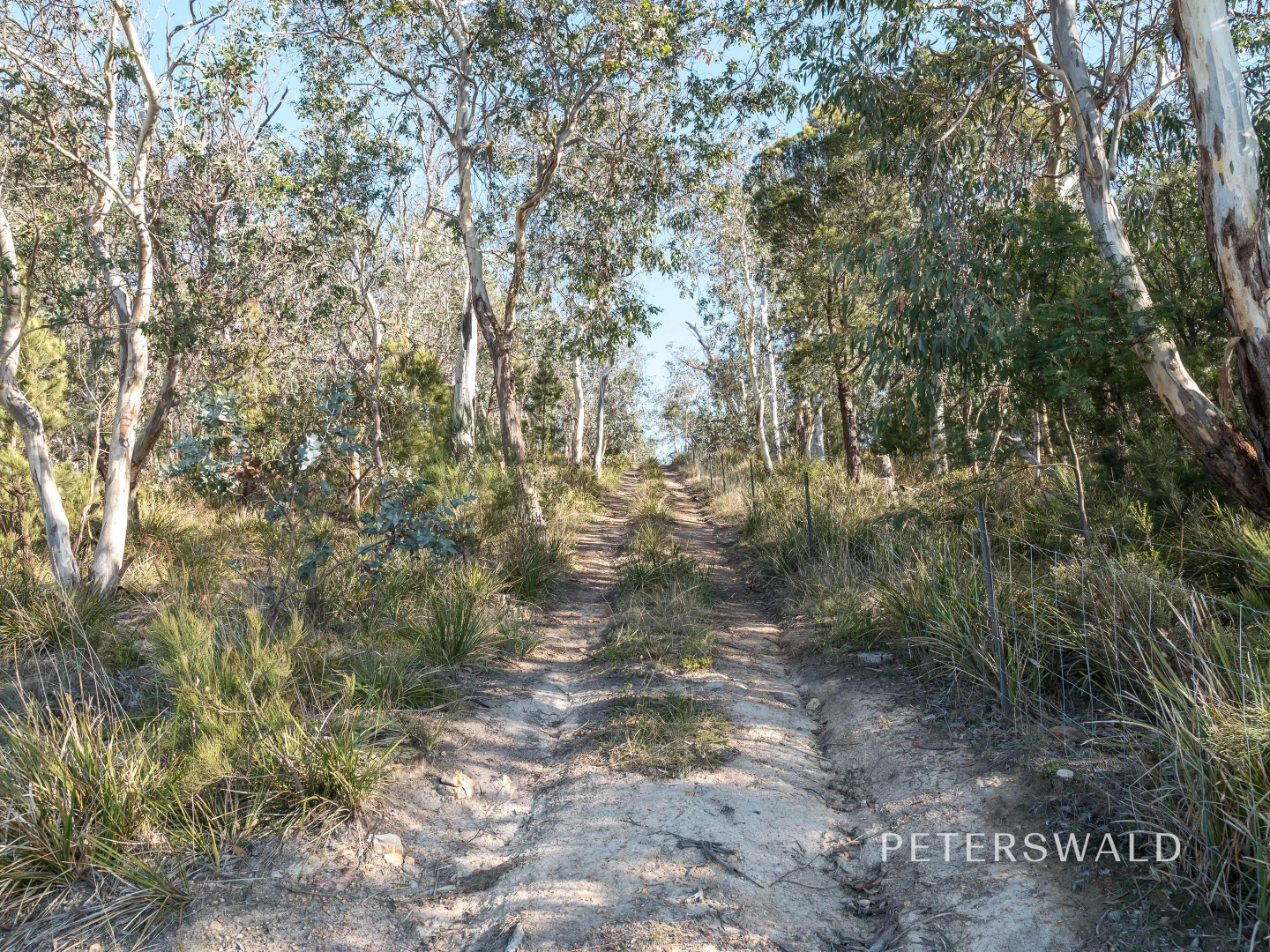 Image 10