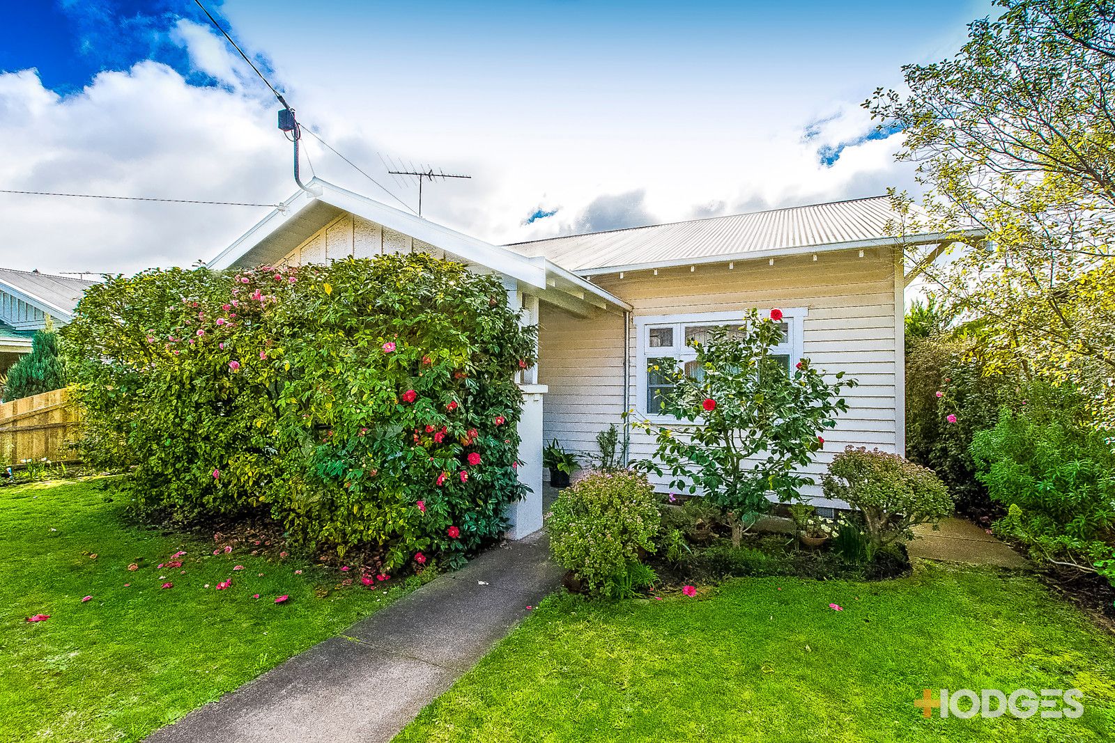 16 Grandview Grove, Drumcondra VIC 3215, Image 0