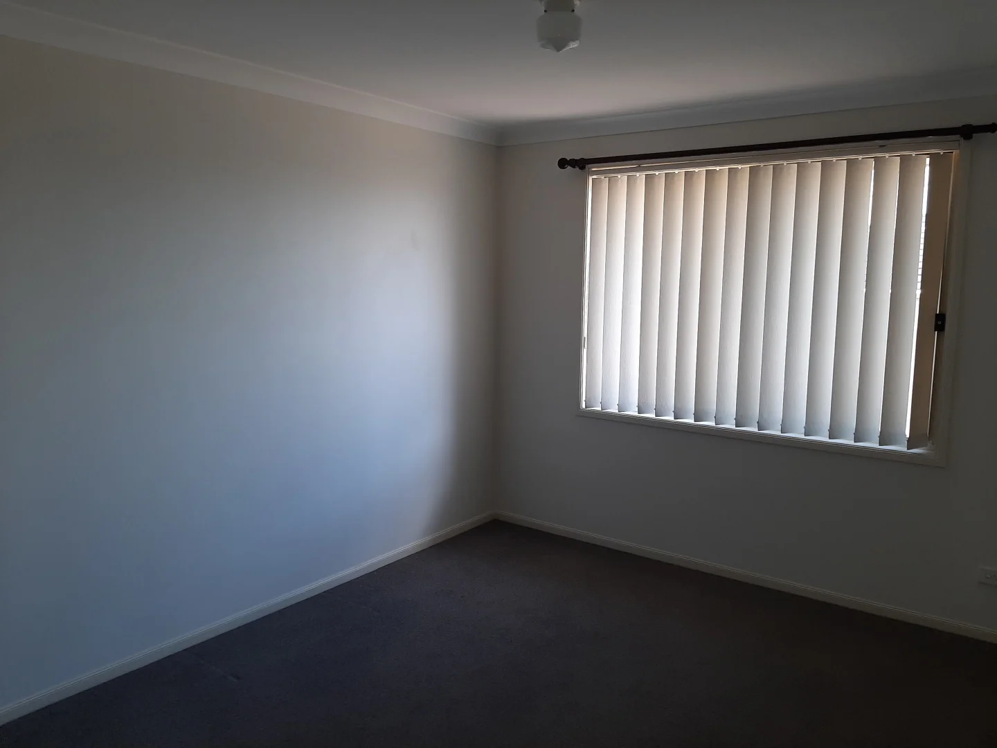 Additional image 11 of 8 Willow Close, Thornton NSW 2322