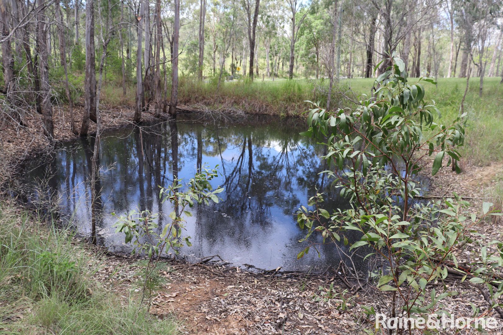 Lot 4 Wattle Camp Road, Wattle Camp QLD 4615, Image 1