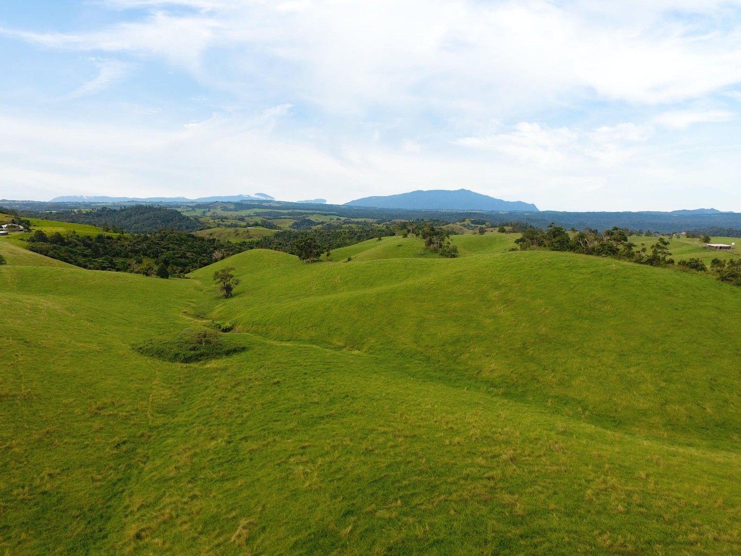 Tarzali QLD 4885, Image 1