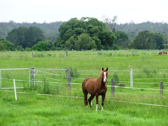 133 Turners Flat Road, Turners Flat NSW 2440