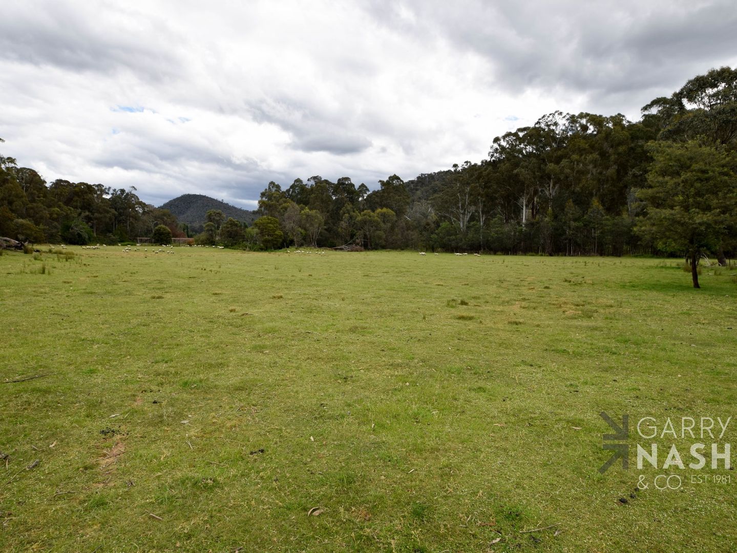 52 Upper Fifteen Mile Creek Road, Myrrhee VIC 3732, Image 2