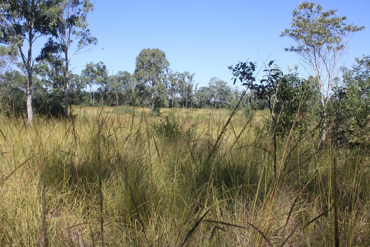 Image 19