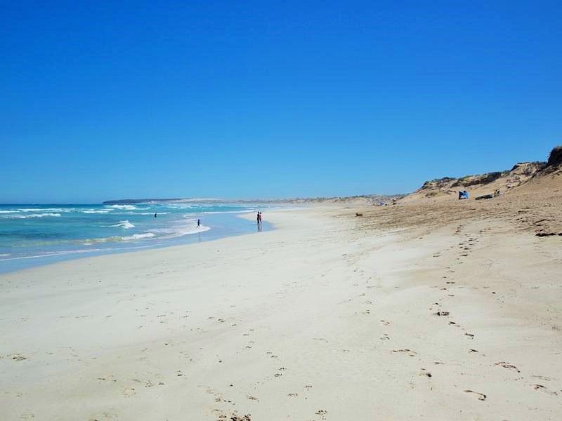 Vacant land in 12 Peregrine Drive, MARION BAY SA, 5575