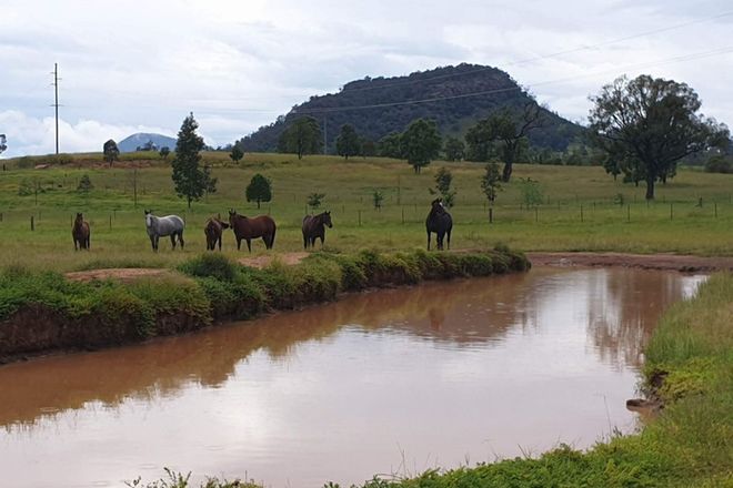 Picture of GUNGAL NSW 2333