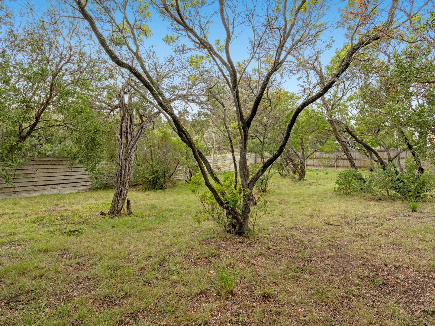 Additional image 13 of 3 Lillian Street, Rye VIC 3941