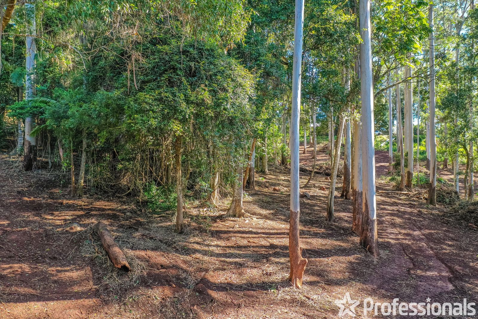 2-6 Morell Street, Tamborine Mountain QLD 4272, Image 1