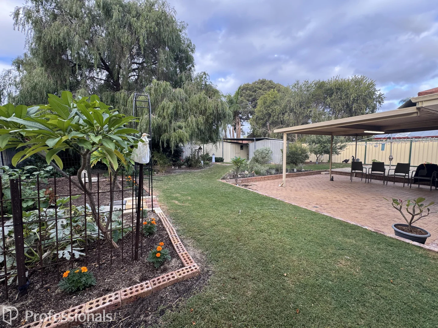Image 22