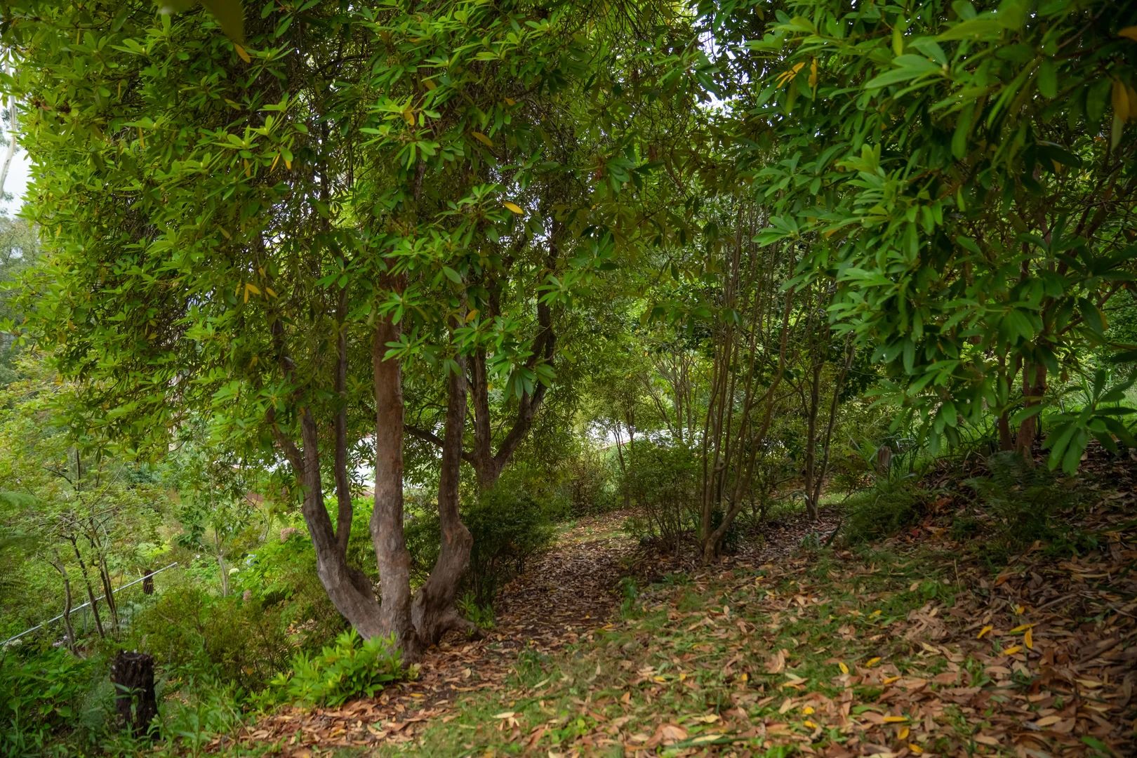 Image 12