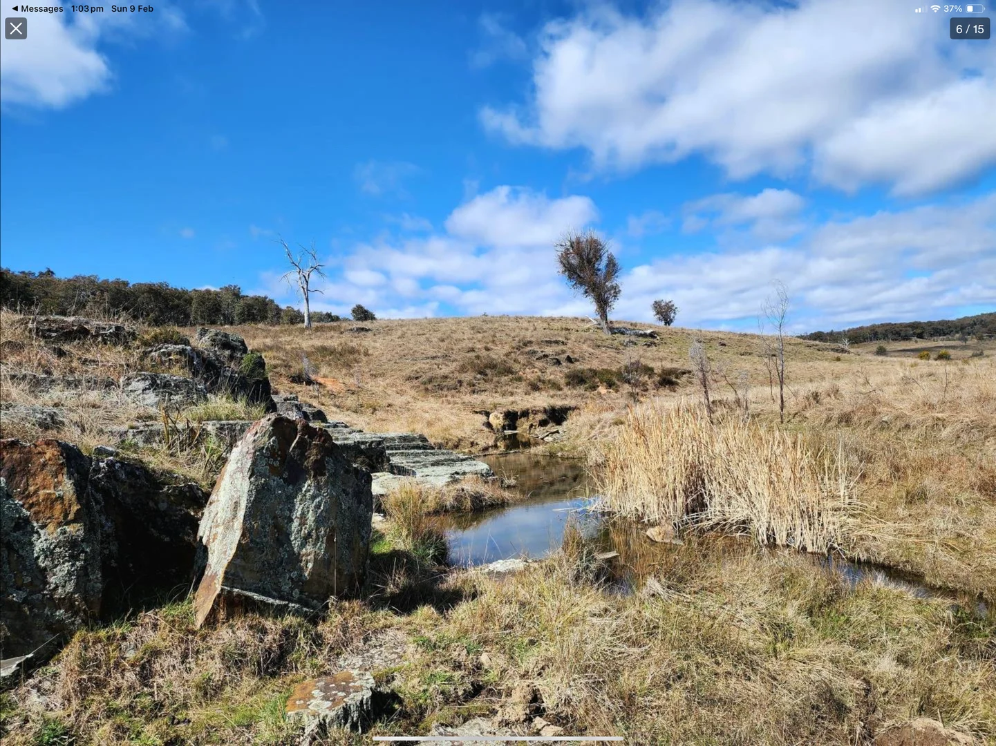 Image 11