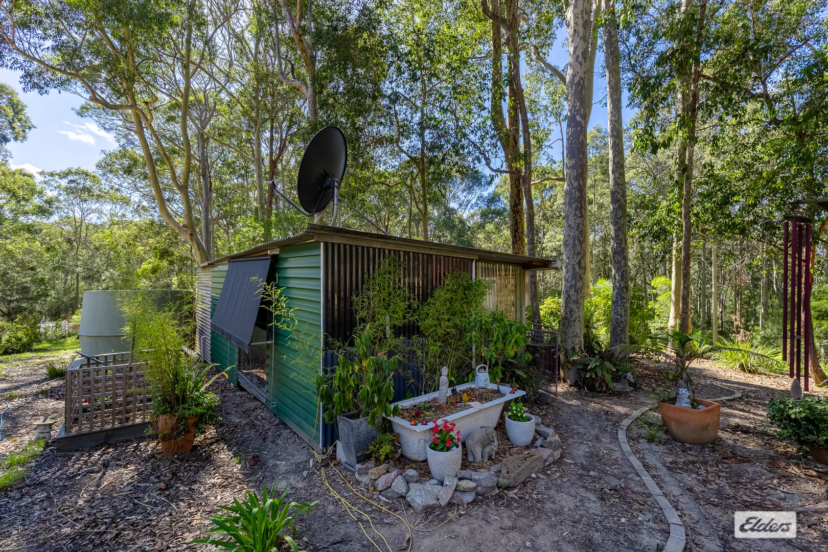 Image 4