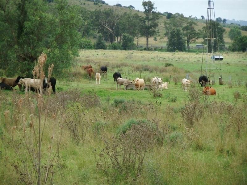 Lot 381 Djuan Road, HADEN QLD 4353, Image 0