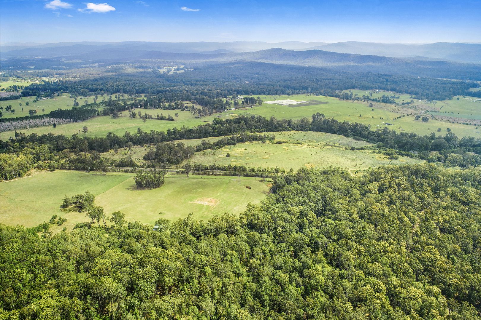 696698 Waihou Forest Road, Glenreagh NSW 2450 Vacant Land for Sale