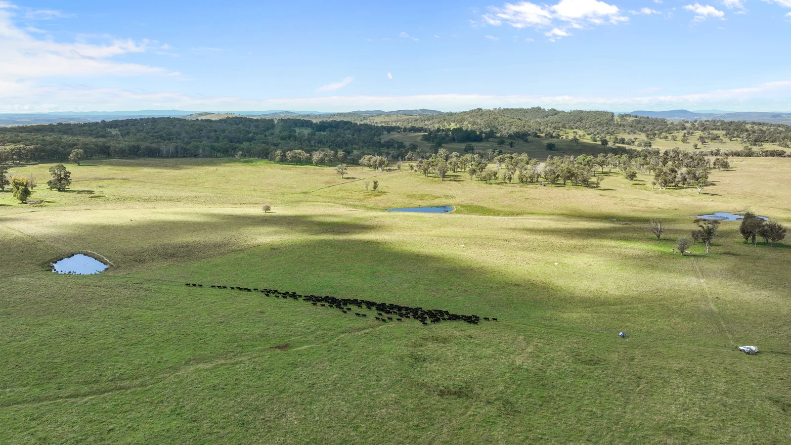 Additional image 10 of "Wyanga" 195 Gills Road, Uralla NSW 2358