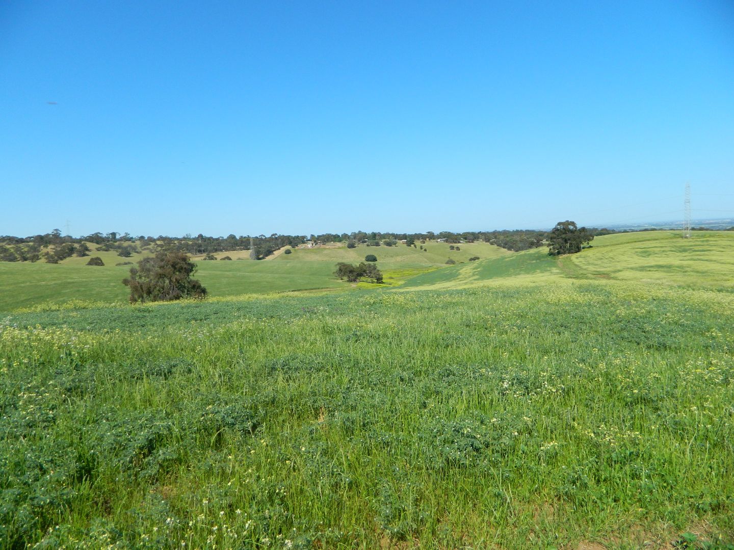 Allotment 4 Gawler - One Tree Hill Road, Bibaringa SA 5118, Image 1