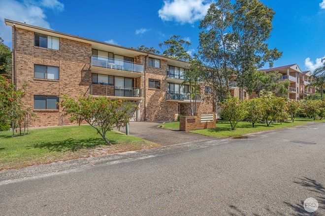 58 Apartments For Sale In Nelson Bay Nsw 2315 Domain