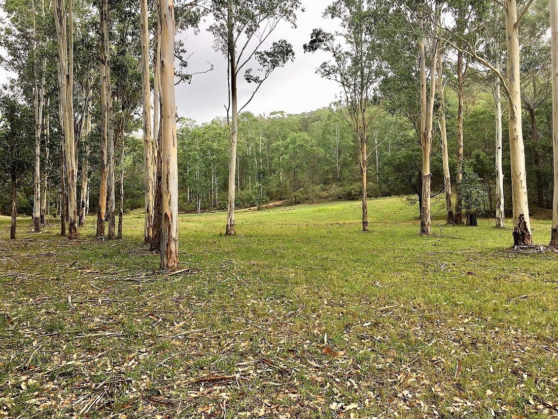 Lot 12 Watagan Creek Road, Laguna NSW 2325, Image 1