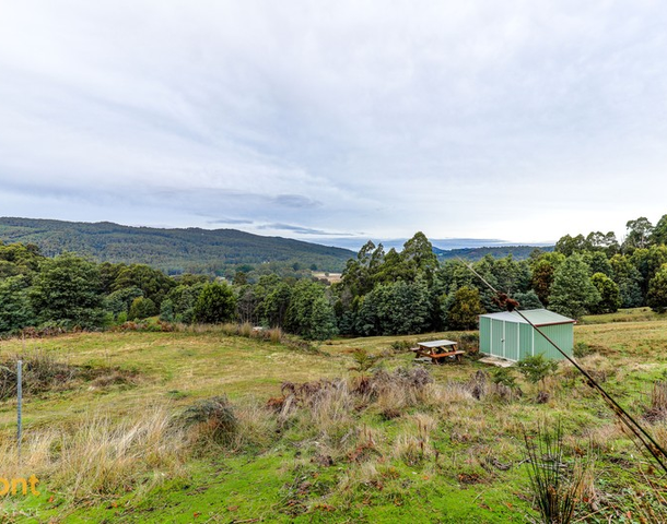 19 Nowlan Close, Lower Barrington TAS 7306