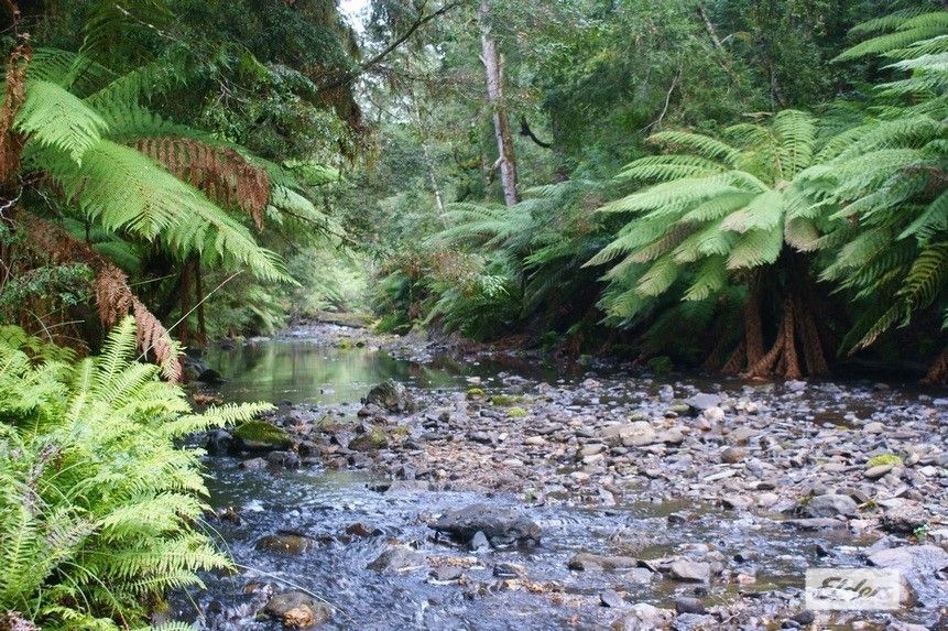 Lot 2 Allisons Road, Lower Barrington TAS 7306 House for Sale