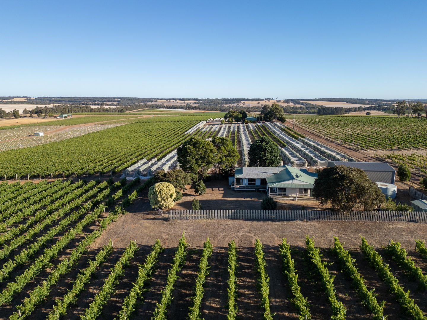 Yarrabee 1270 Wingebellup Road, Frankland River WA 6396, Image 2