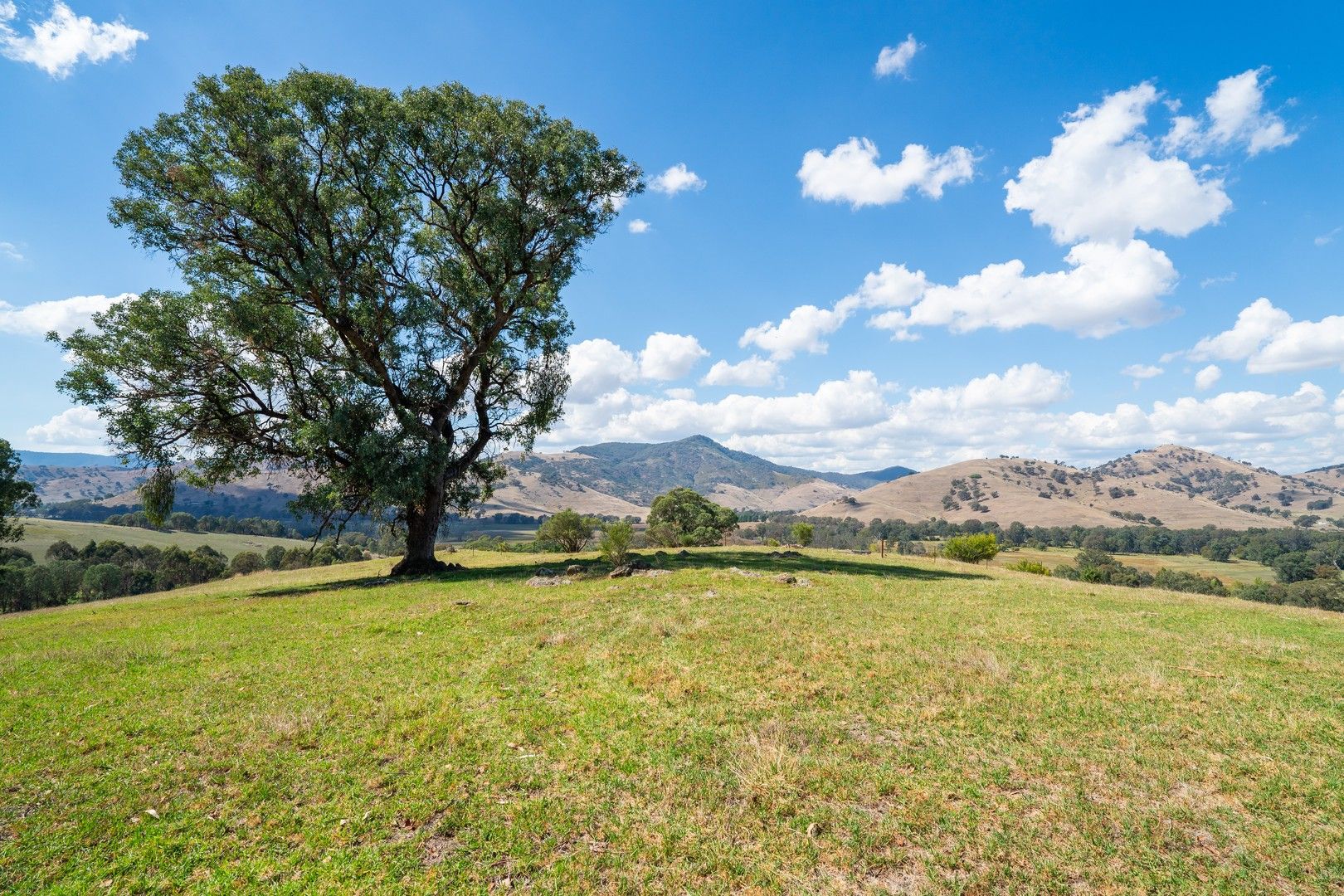 . Omeo Highway, Tallangatta VIC 3700 Specialist Farm for Sale