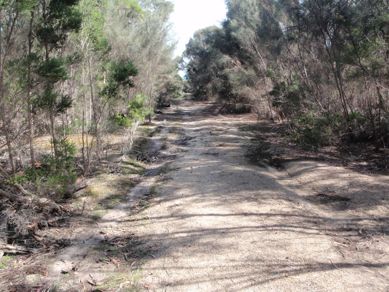 Lot 1 Palana Road, Blue Rocks, Flinders Island TAS 7255, Image 2