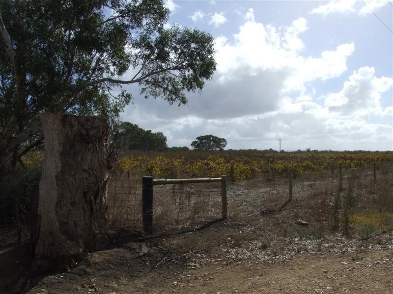 Lot 51 Leslie Road, ANGAS PLAINS SA 5255, Image 0