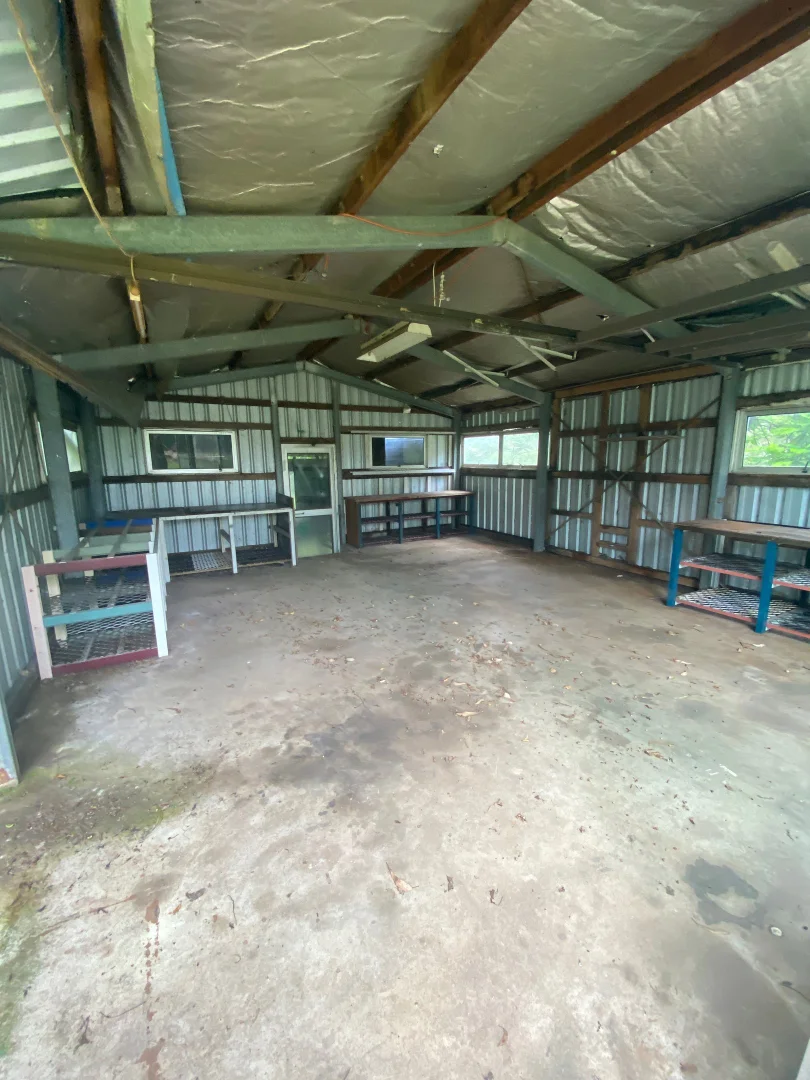 Additional image 13 of 50 Seib Road, Eumundi QLD 4562