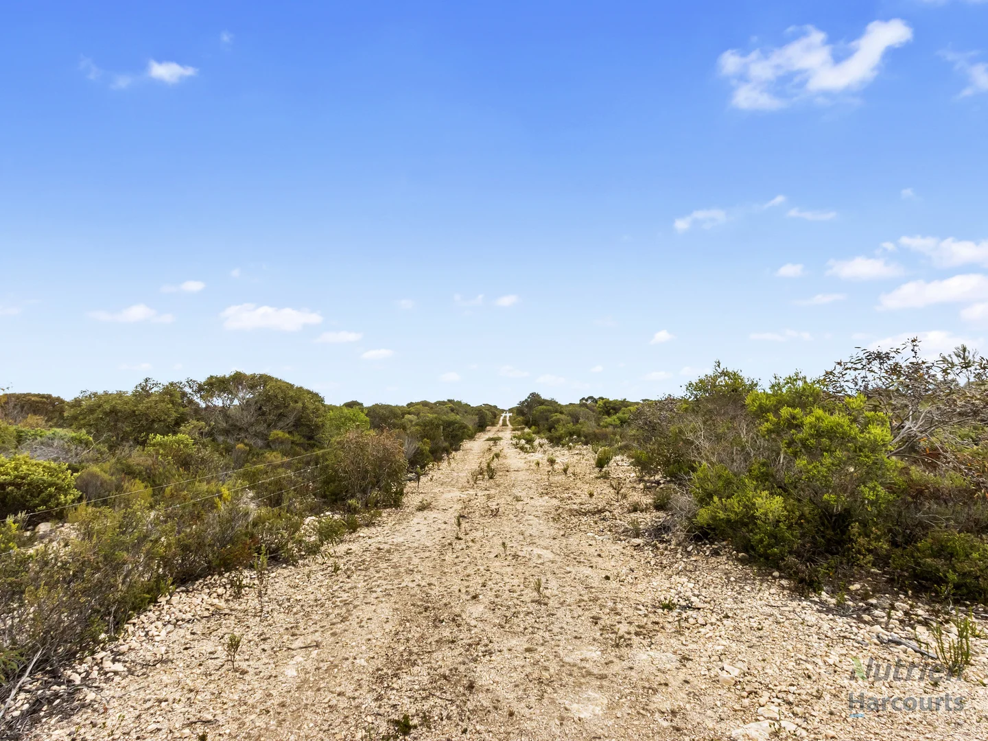 Additional image 10 of Sect. 230 Levens Road, Warooka SA 5577