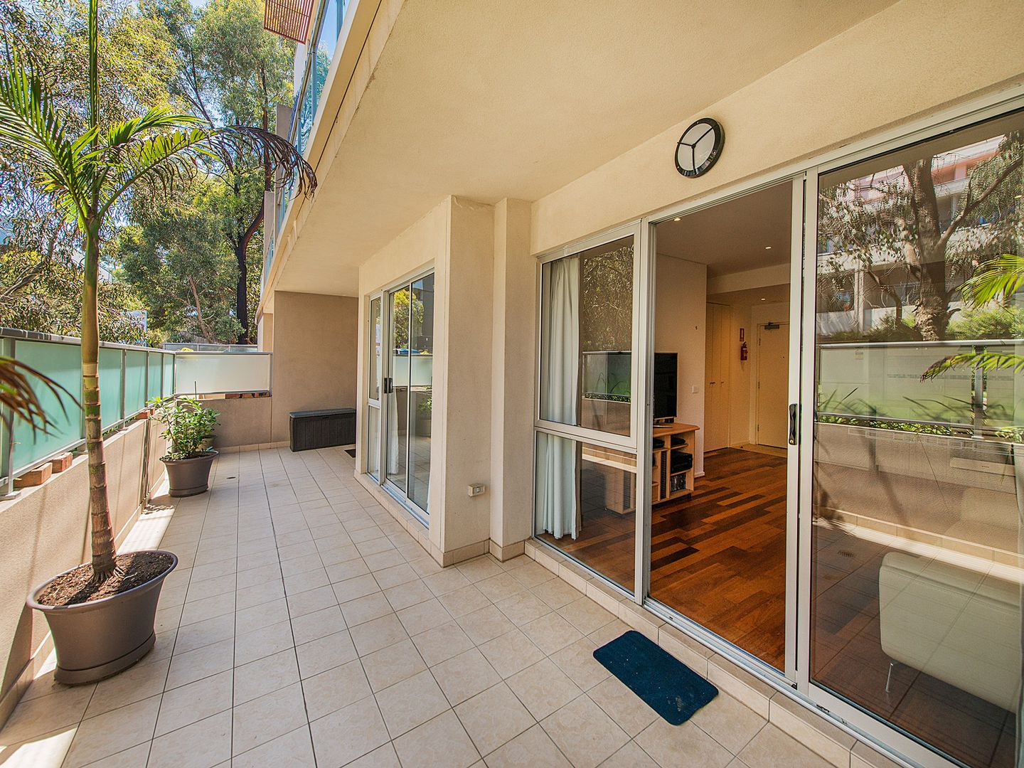 1/213 Normanby Road, Notting Hill VIC 3168, Image 1