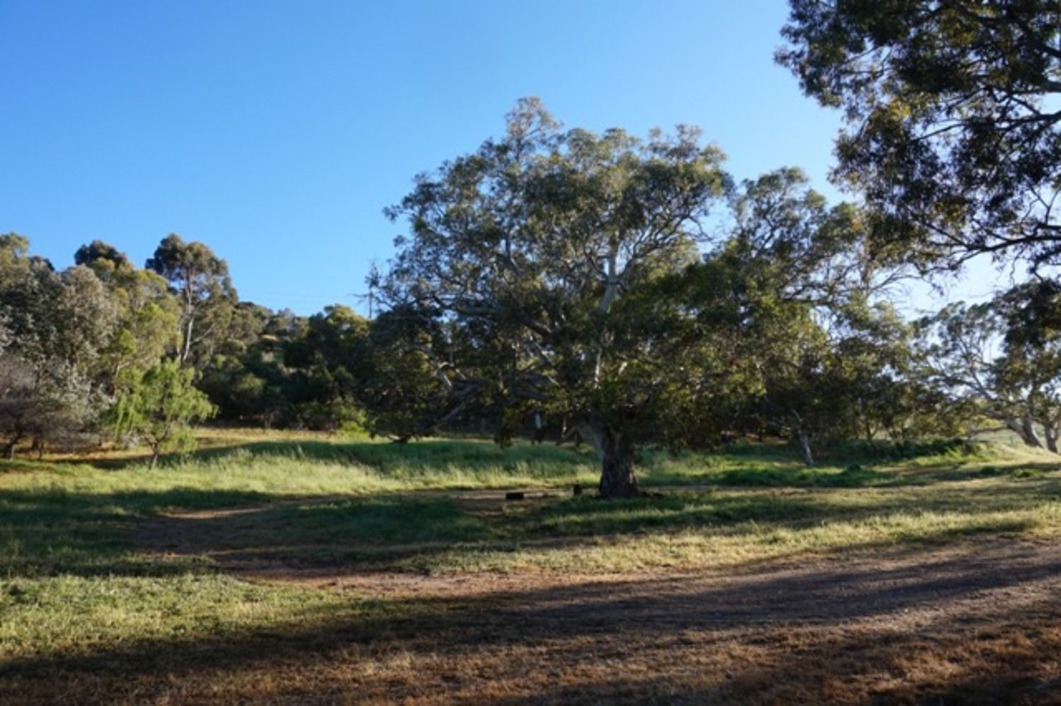 Lot 6 Jervois Road, Yankalilla SA 5203, Image 0