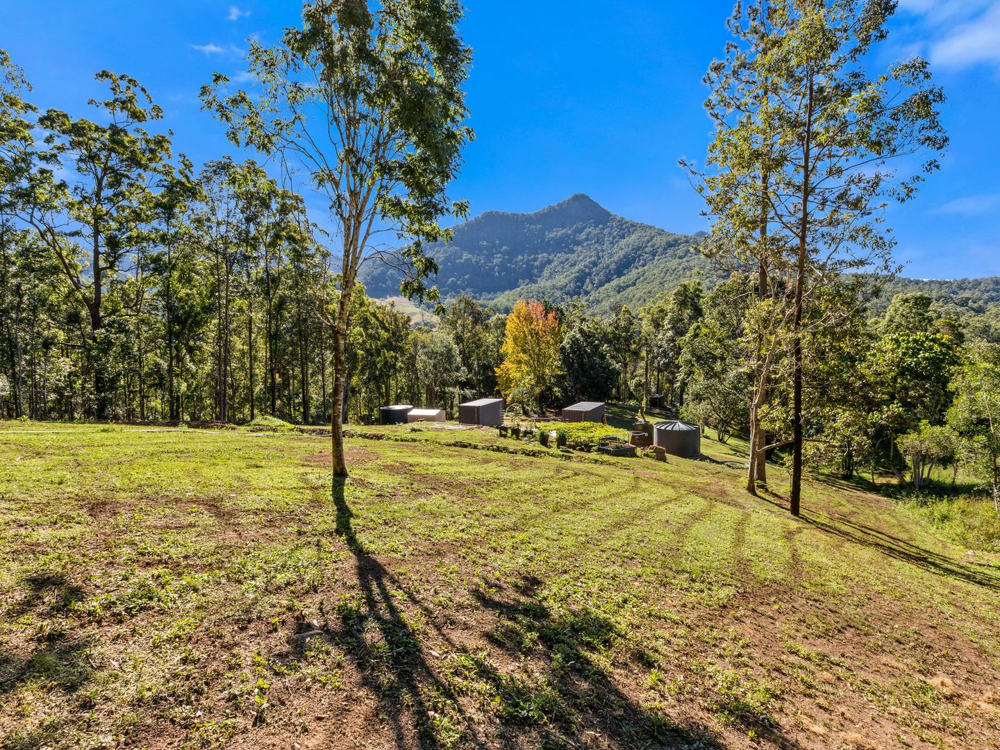 1897 KYOGLE ROAD, Terragon NSW 2484, Image 1