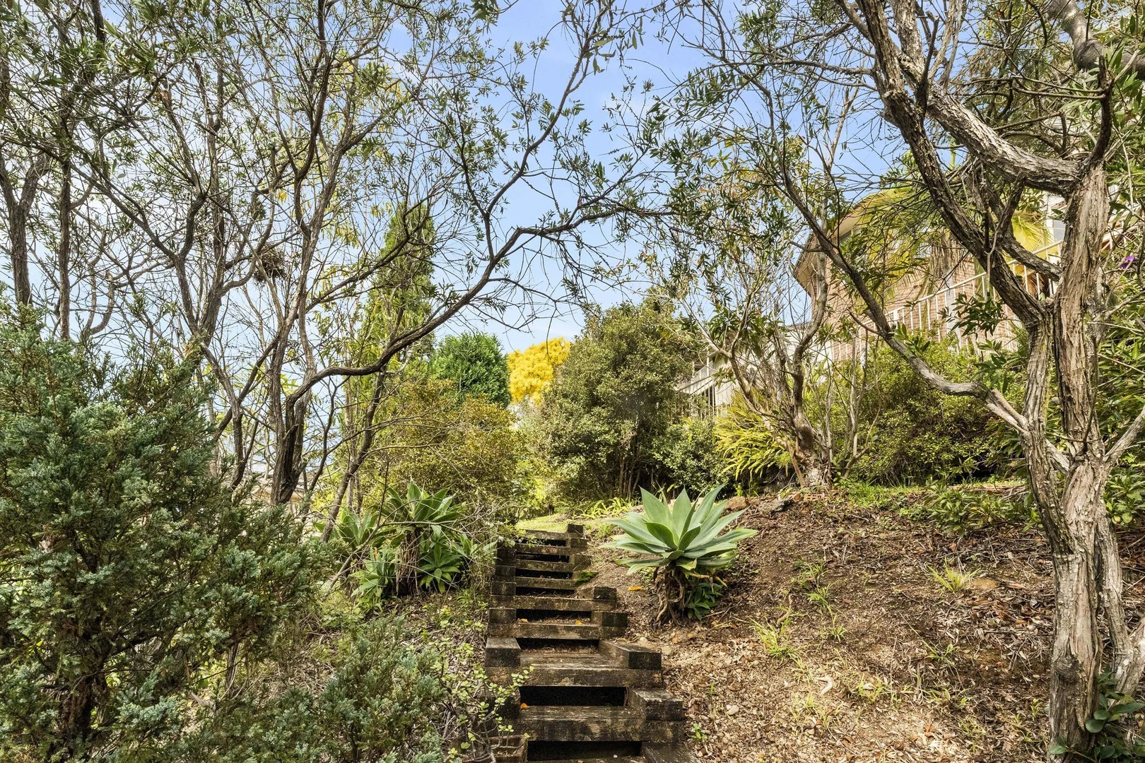 Image 17