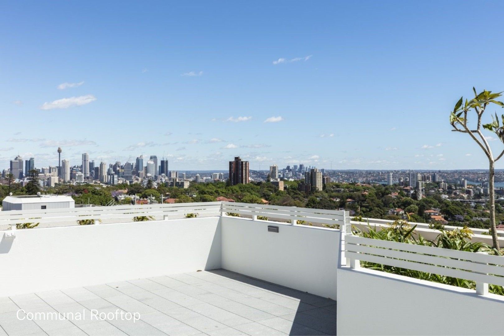 307/350 Oxford Street, Bondi Junction NSW 2022, Image 1