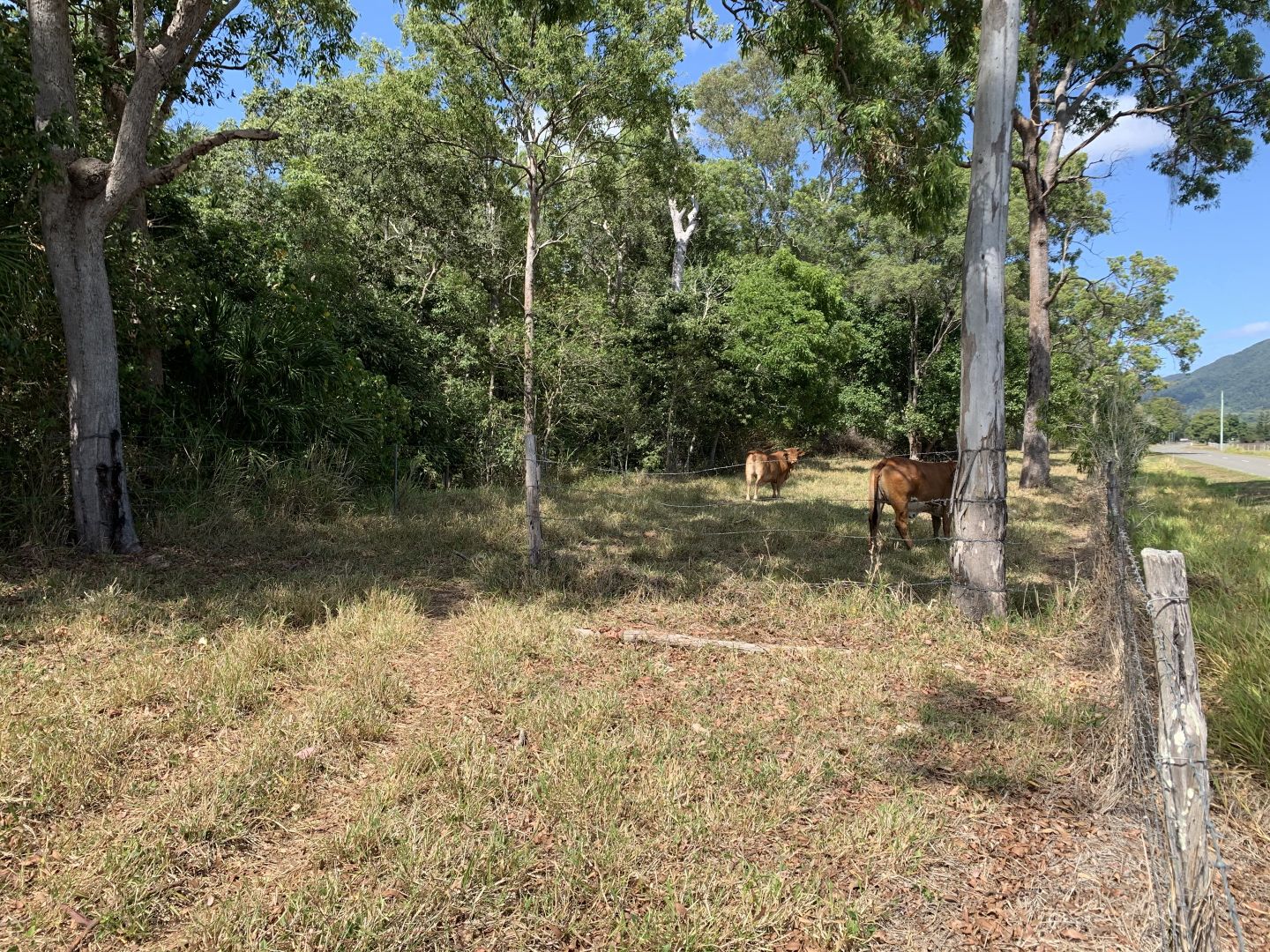 15 Johnson Road, Koumala QLD 4738, Image 1