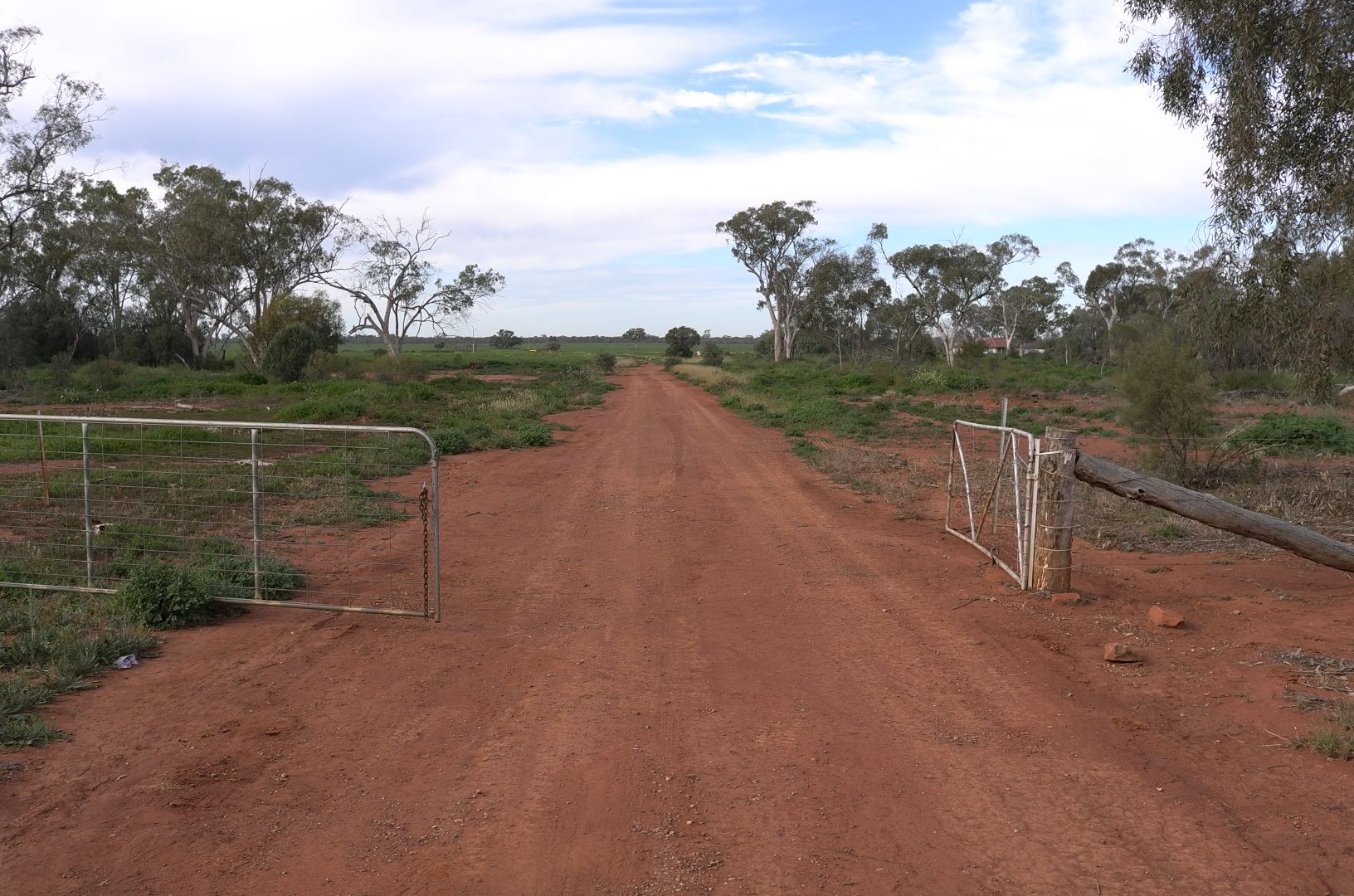 Farm 3953 Gilgai Road, Hermidale NSW 2831, Image 1