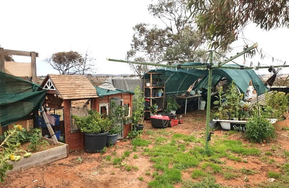 Image 13