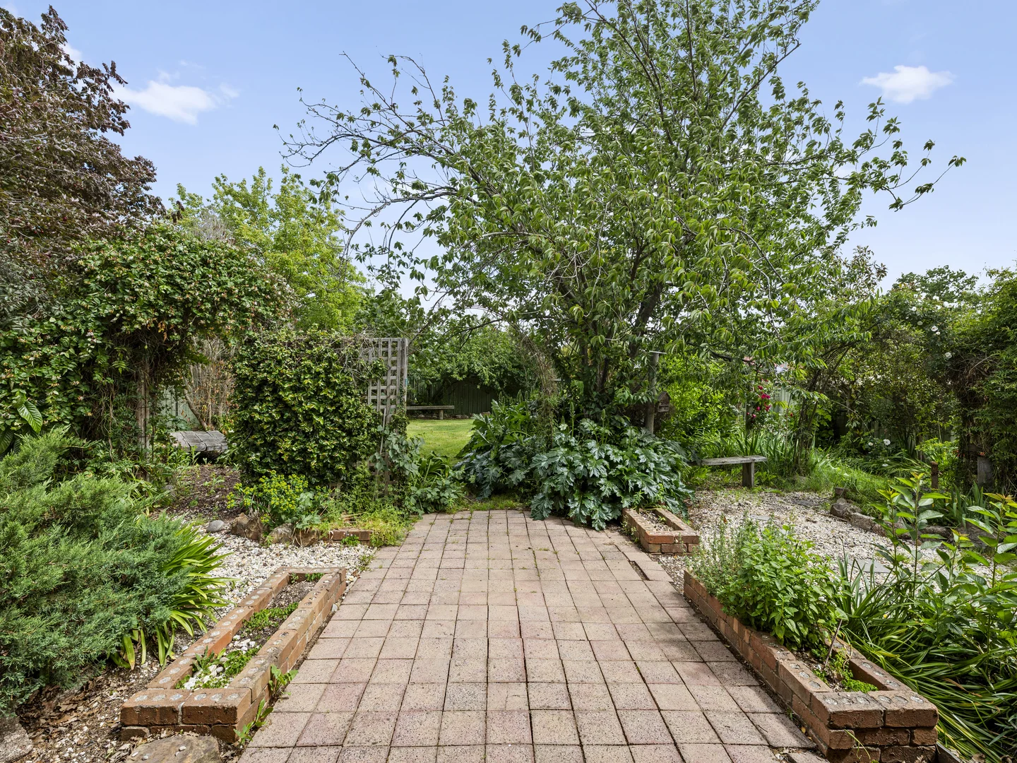 Image 14