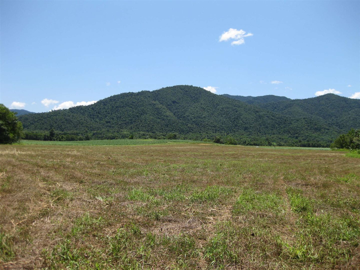 Feluga Road, Feluga QLD 4854, Image 1