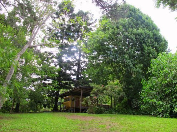 48A Wheatley St, Bellingen NSW 2454, Image 0